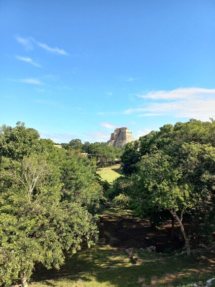 A lush green landscape with a clear sky, a pathway leading to a pyramid-like structure. 2