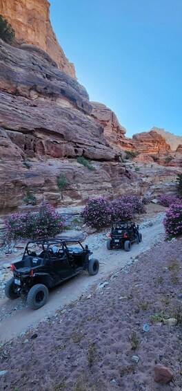 Off-road vehicles on a rocky trail with pink flowering bushes. 3