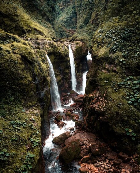 A multi-tiered waterfall in a lush, moss-covered gorge. 2