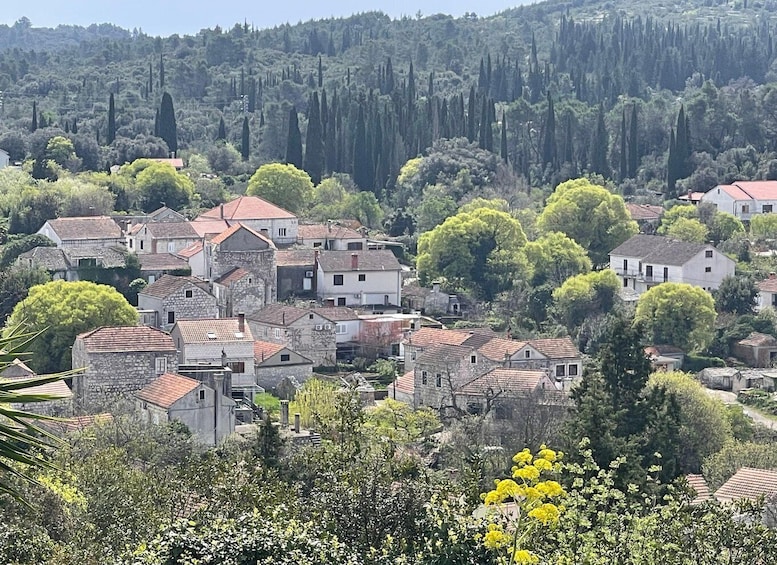 A village with stone houses, dense greenery, and a forested hill in the background. 1