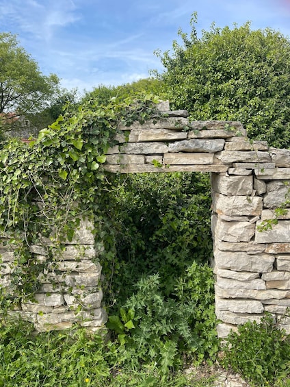 A stone archway overgrown with ivy and surrounded by lush greenery. 4