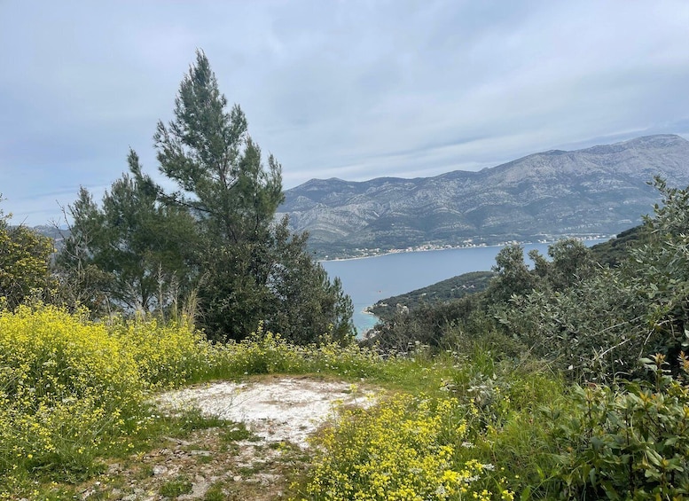 A mountainous landscape with a lake, trees, and yellow flowers. 5