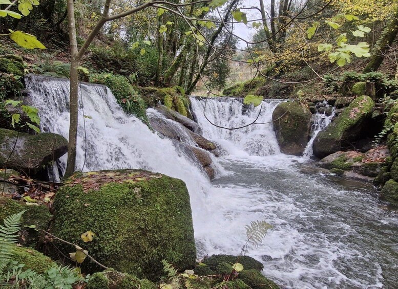 A cascading waterfall surrounded by moss-covered rocks and dense foliage. 3