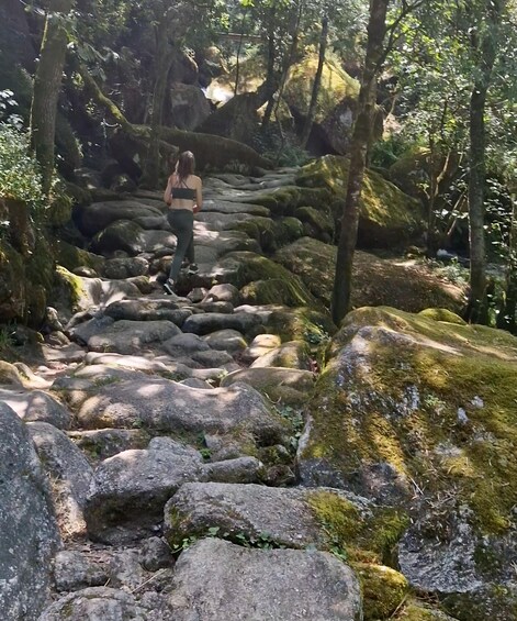 Picture 1 for Activity Jugueiros, Porto: Guided Hike tour with lunch and drinks 3