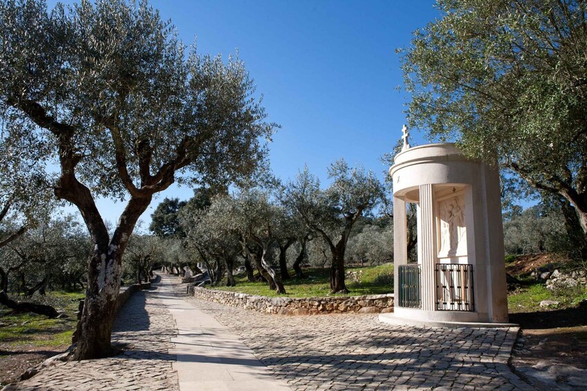A pathway lined with olive trees leading to a white gazebo with a statue on top. 1