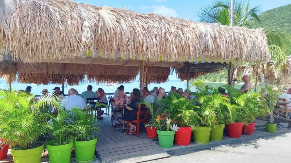 A thatched-roof outdoor dining area with people seated at tables, surrounded by potted plants. 1