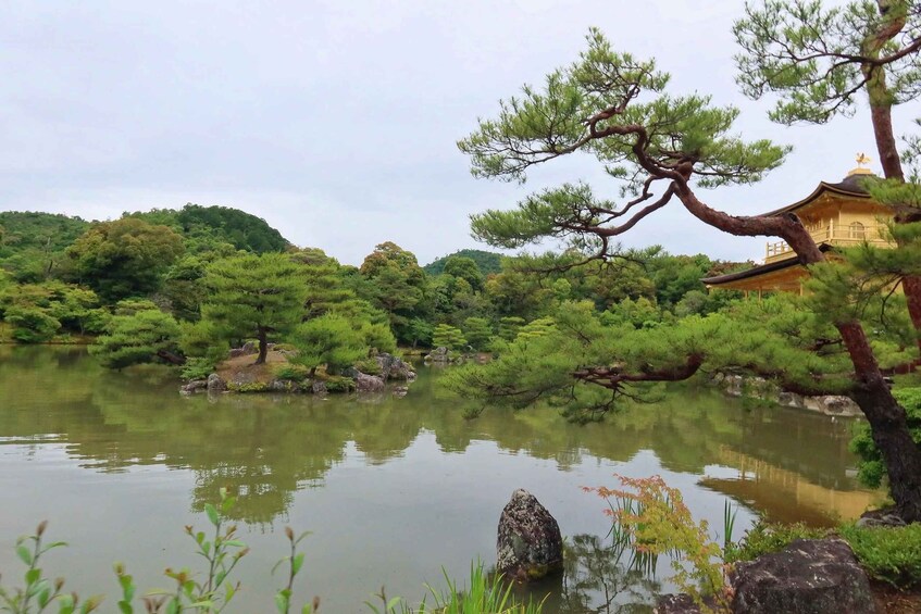 A serene pond with a traditional building, surrounded by lush greenery and pine trees. 5