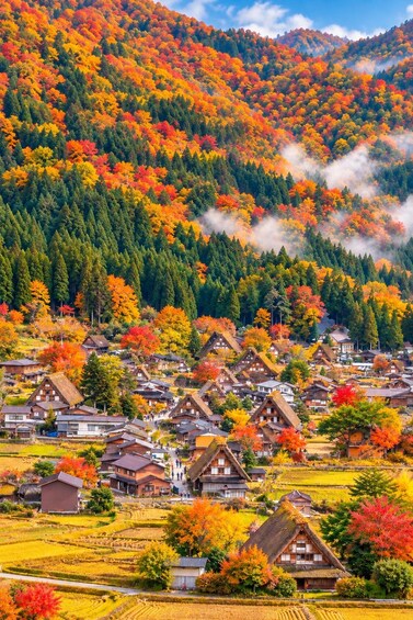 A village nestled in a valley with colorful autumn foliage, traditional houses, and terraced fields. 1
