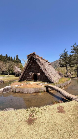 Picture 11 for Activity Shirakawa-go&Takayama Old Town Private Highlights & Driver 2