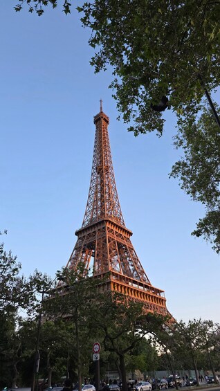 The Eiffel Tower surrounded by trees and a clear sky. 5