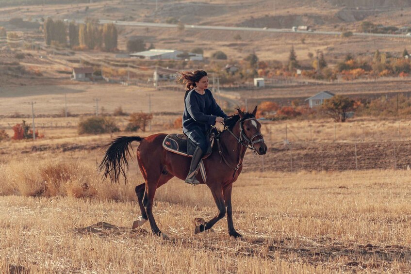 A person riding a horse in a dry grass field with houses and trees in the background. 1