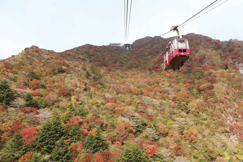 A cable car moving over a forested mountain. 3