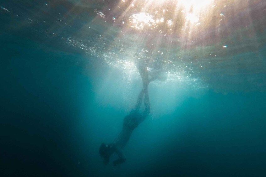 A diver descending underwater with sunlight filtering through the water. 4