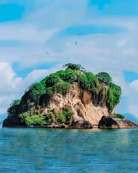 A small island with dense green vegetation and rocky cliffs surrounded by calm blue waters. 5