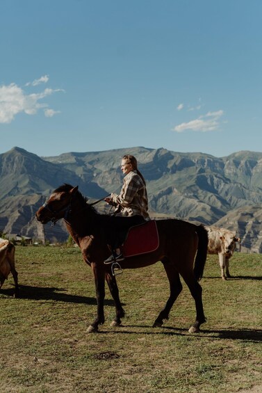A person riding a horse in a grassy field with mountains in the background. 3
