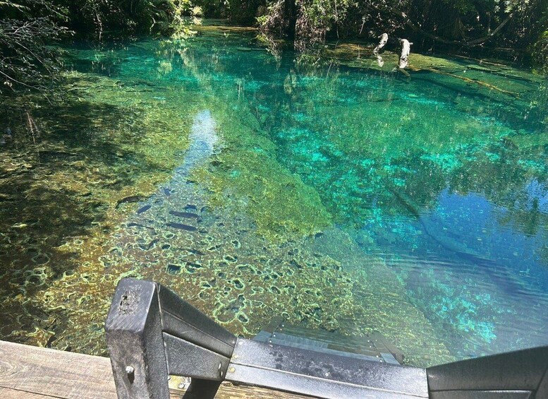 En klar, turkos pool omgiven av grönska. 1