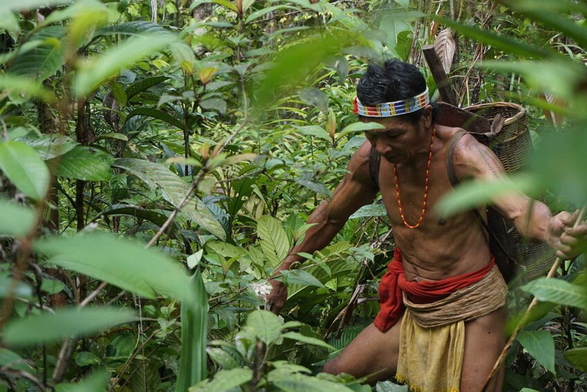 A person in traditional attire navigating dense tropical foliage. 2