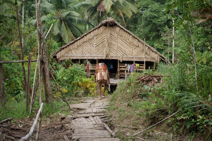 A thatched-roof hut with a wooden path leading to it, surrounded by dense tropical vegetation. 5