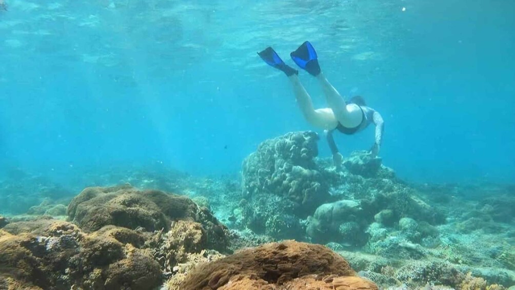 A diver underwater near a coral reef with rocks and marine life. 3