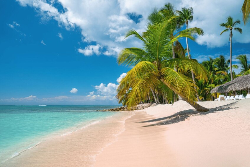 A beach with clear turquoise water, palm trees, and a thatched-roof hut. 2