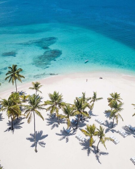 A tropical beach with clear turquoise waters, white sand, and palm trees. 4