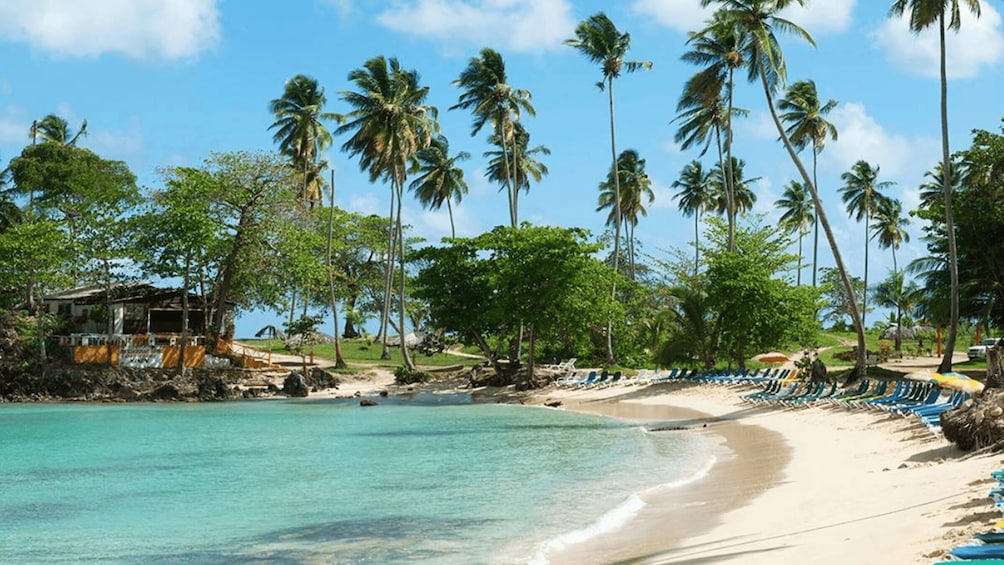 A beach with clear turquoise water, palm trees, and a row of beach chairs. 4