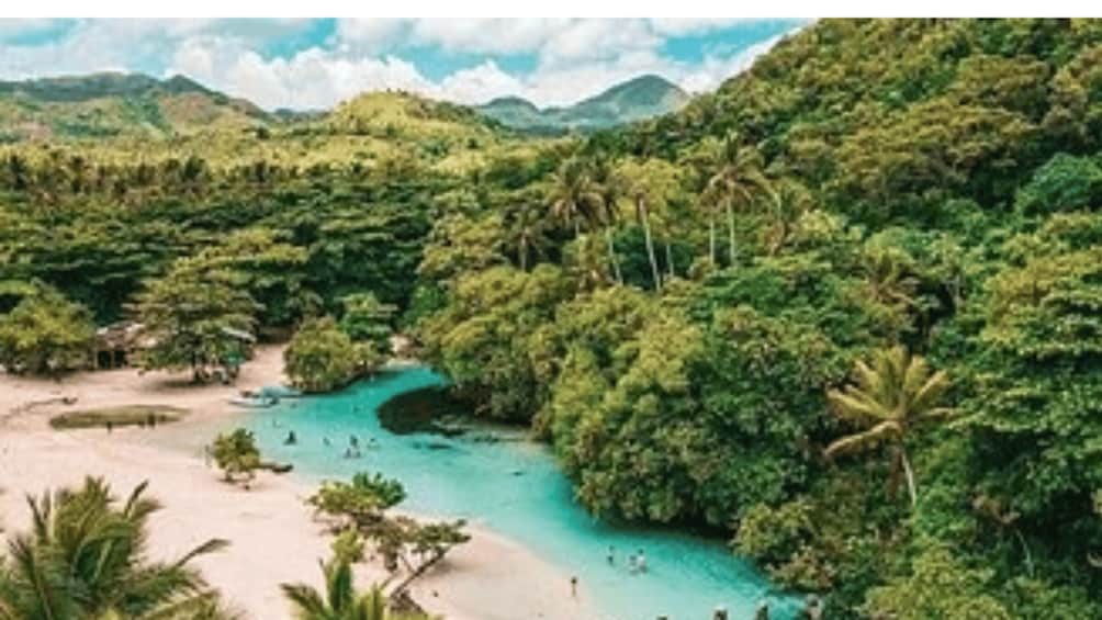 A tropical beach with clear turquoise waters, lush greenery, and palm trees. 2