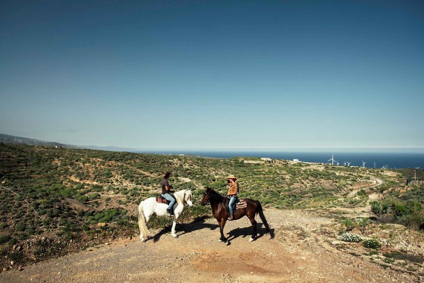 Two people riding horses on a dirt path with wind turbines in the background. 3