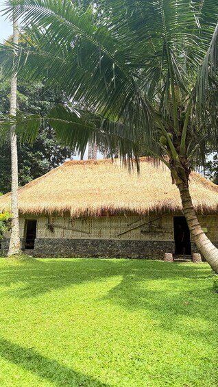 A thatched-roof hut with a stone base, surrounded by lush green grass and palm trees. 1