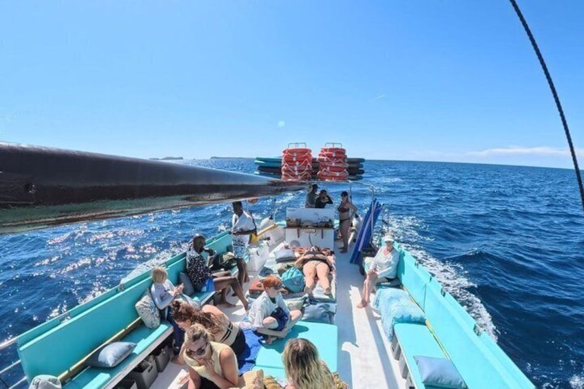 A boat with passengers and a large whale in the background. 2
