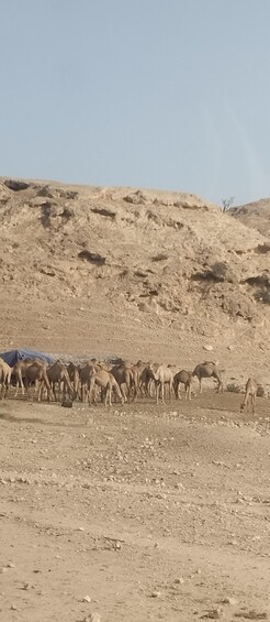 Salalah: Ayun Jabal AlQara And Prophet Ayup 1
