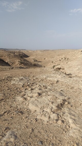 A barren desert landscape with rocky terrain and sparse vegetation. 2