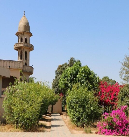 A pathway leading to a building with a dome and minaret, surrounded by lush greenery and flowering plants. 2