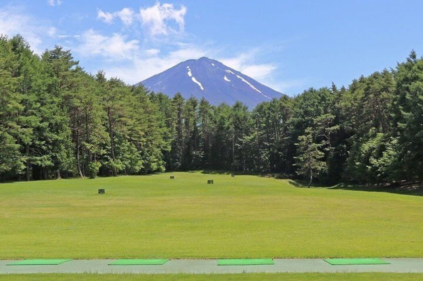 A grassy field with a mountain in the background. 3
