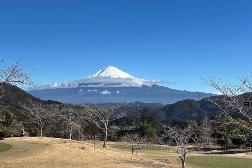 A snow-capped mountain, a clear sky, and a dry landscape with sparse trees. 2