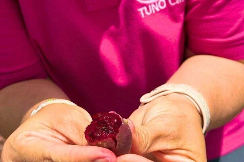 A person wearing a pink TUNO shirt holding a red fruit. 5