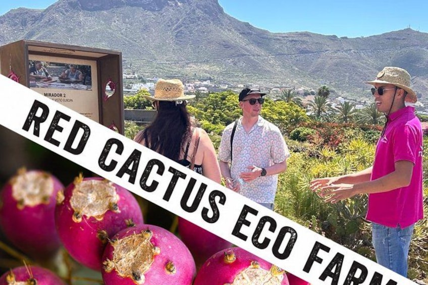 A group of people standing in a field with a sign that reads 'RED CACTUS ECO FARM.' 1