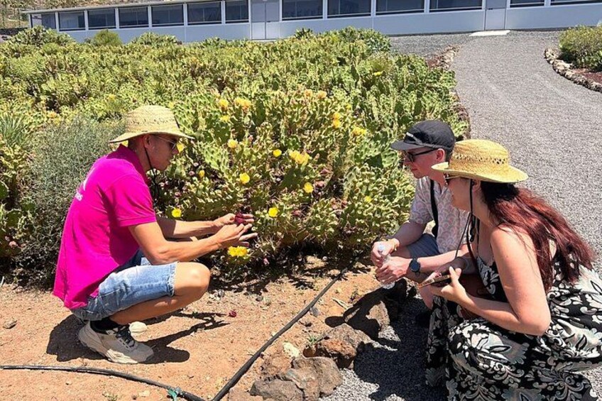 Three people examining plants in a garden with a building in the background. 2