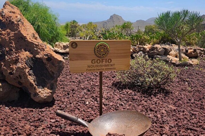 A wooden sign with the text 'Gofio Nourishment' and a shovel in a desert landscape with rocks and sparse vegetation. 4