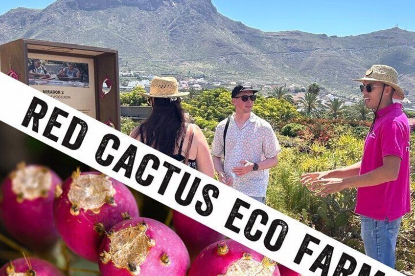 A group of people standing near a signboard with 'Mirador 2' and 'Eco Farm' visible, with a mountainous landscape in the background. 1