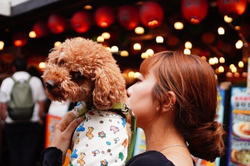 A person holding a curly-haired dog wearing a patterned shirt. 3