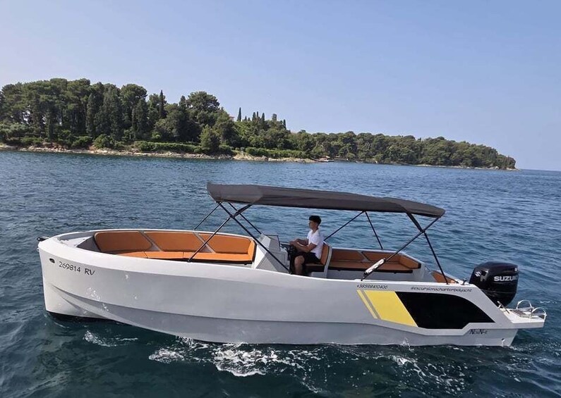 A white motorboat with a canopy, a man at the helm, and a shoreline with trees and buildings in the background. 3