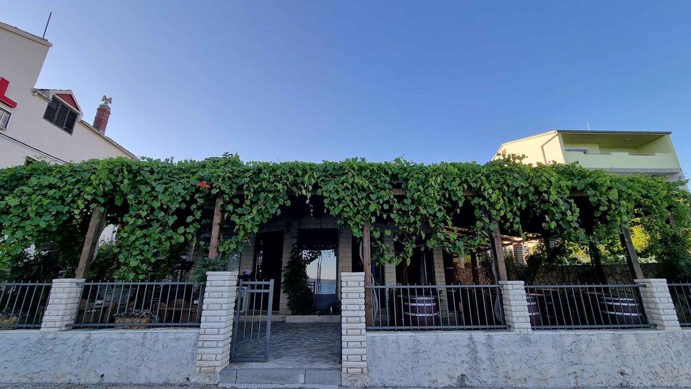 A building entrance with a vine-covered archway, stone pillars, and a metal gate. 1