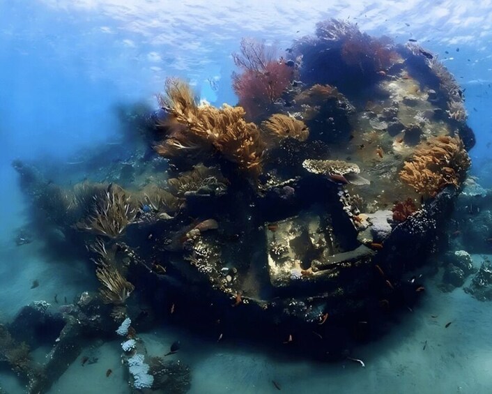 An underwater scene with coral formations and a shipwreck. 5
