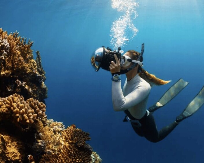 A diver with a camera, surrounded by coral reefs. 4