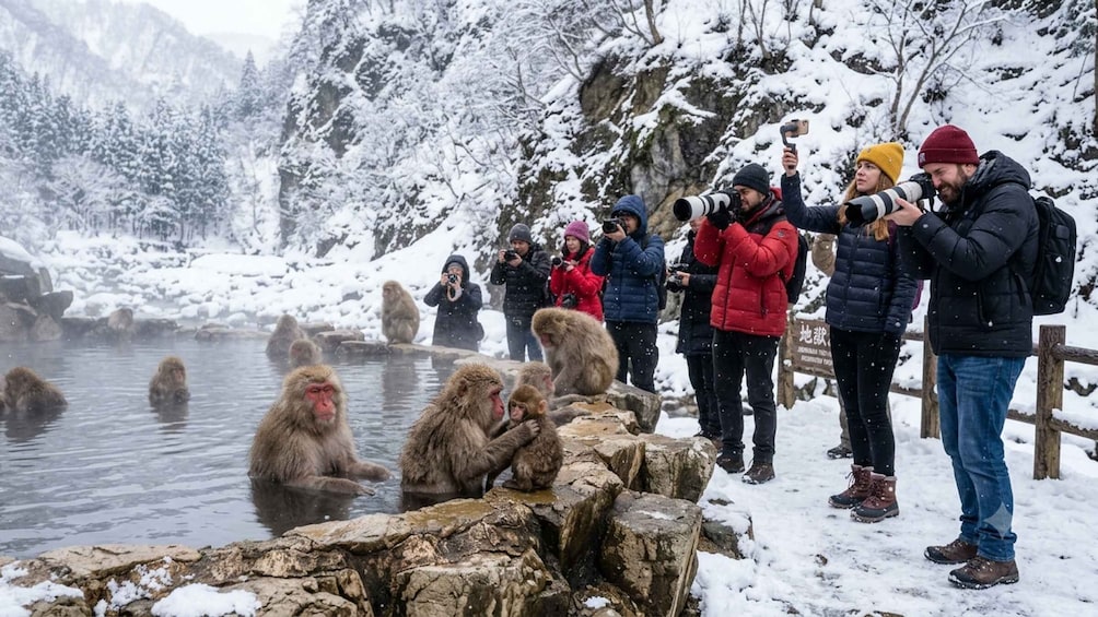 A group of people taking photographs of monkeys in a snowy outdoor setting. 1