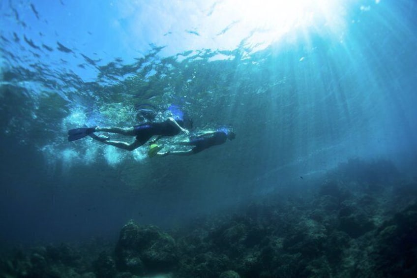 A person scuba diving underwater with sunlight filtering through the water. 5
