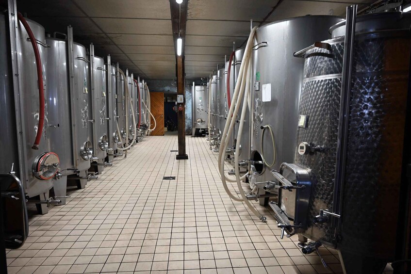A row of stainless steel fermentation tanks in a brewery. 4