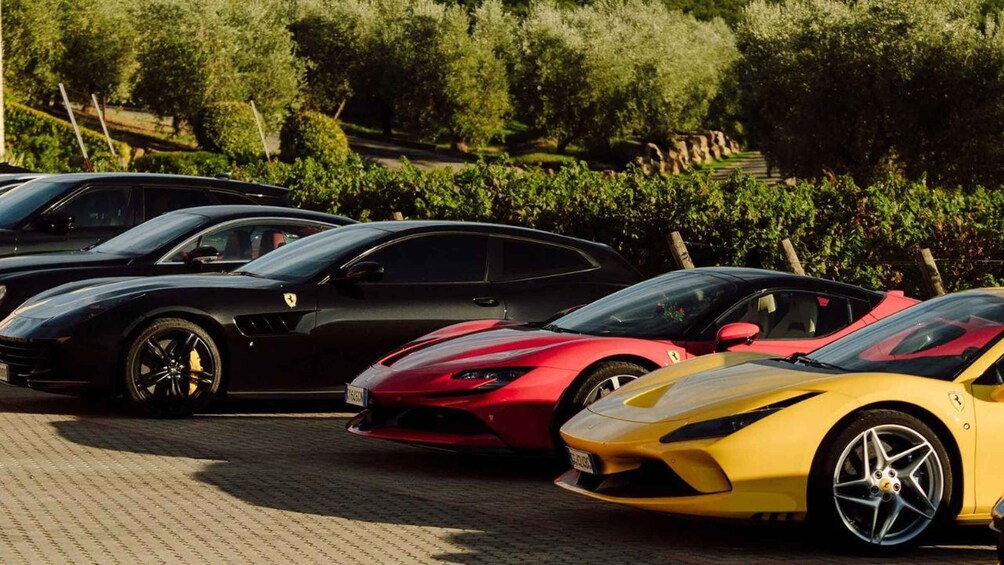 A row of luxury sports cars parked in a driveway. 3