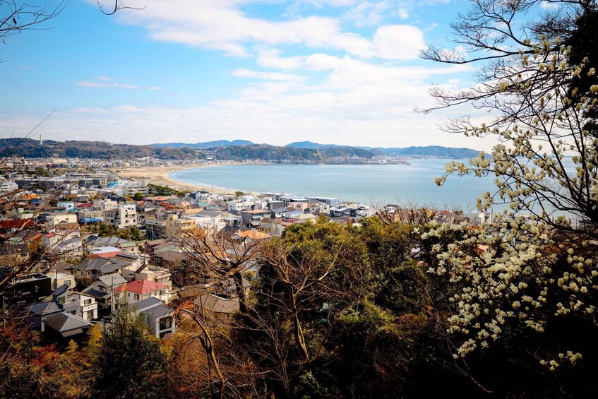 A coastal cityscape with a beach, residential buildings, and a mountainous backdrop. 3